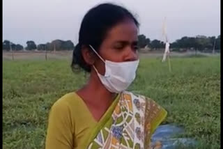 Kiran became the first woman farmer of the state to sell watermelon of 12 thousand