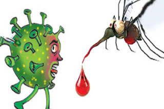 dengue prevention measures in khammam district