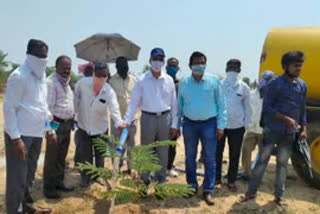 those-who-plant-the-plants-must-preserve-them-dot-in-medak-district-collecter