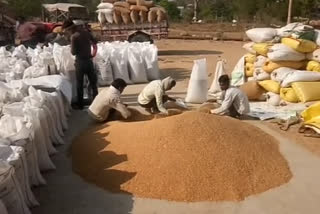 committee manager at the wheat purchasing center is doing arbitrary IN Chhatarpur