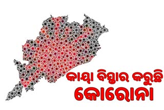 ରାଜ୍ୟରେ ଆଉ 65 କୋରୋନା ଆକ୍ରାନ୍ତ ଚିହ୍ନଟ, ମୋଟ ପଜିଟିଭ 737କୁ ବୃଦ୍ଧି