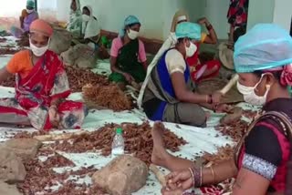 Womens making tamarind