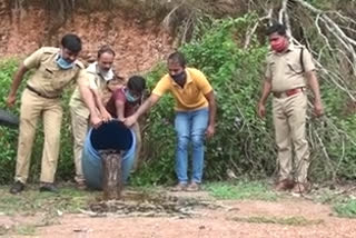 illegal-liquor-making-in muvattupuzha  കോടയും വാറ്റുപകരണങ്ങളും പിടികൂടി  മൂവാറ്റുപുഴ വാറ്റുപകരണങ്ങള്‍  വാറ്റുപകരണങ്ങള്‍  കോട പിടികൂടി  എറണാകുളം വാര്‍ത്തകള്‍  muvattupuzha news  illegal-liquor-making news  eranakulam news