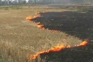 7 case of straw fire found in pathankot