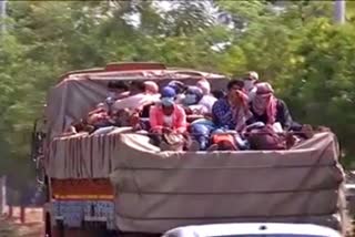 Jharkhand migrant workers struck in East Godavari district Andhrapradesh