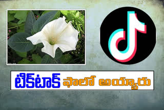 four-family-members-are-hospitalized-due-to-eating-datura-seeds-in-prakasham-district