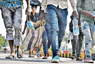 Non-migrant workers in Delhi see income drop by at least 57 per cent during lockdown: Study