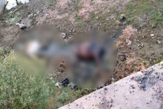 two animals died in palamu