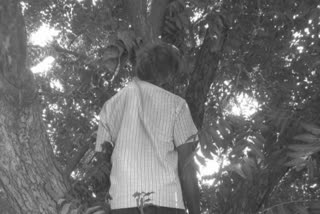 An old man hanging from a tree is suicide at prakasham district