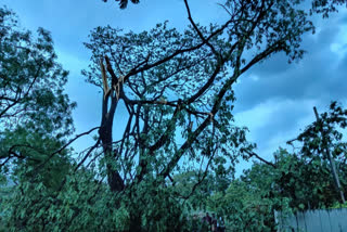 hail rain in ahobhilam