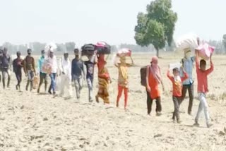 Migrant laborers forced to walk from Ludhiana to Uttar Pradesh