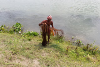 লকডাউনে বাঙালির ভরসা তোর্ষা-মানসাইয়ের বোরোলি