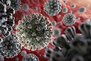 us-adds-1237-coronavirus-deaths-in-24-hours