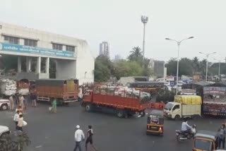 navi mumbai apmc market