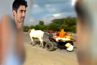 man was seen pulling a bullock cart with a bull on his shoulder