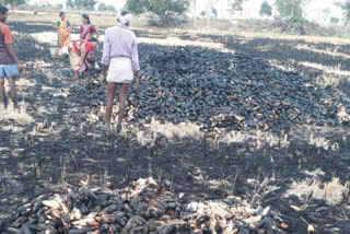 maize crop damage caused by fire in Wardhanpet