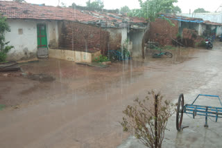 A farmer ready for sowing at hubli by the reason of rain