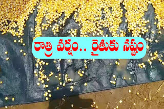 Annadata hampered by premature rain in khammam district