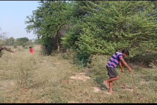 putidih  sarpanch cut down the tree at jajgir champa