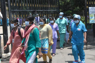 400 nurses resign in west bengal