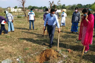 Gardening scheme, बागवानी योजना