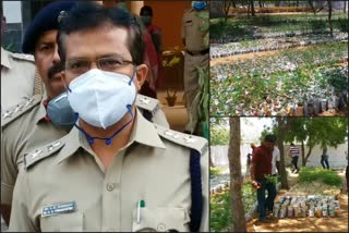 Raichur SP Vedamurthy distributing plants to publics