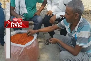 farmer of kamra villege faridabad upset due to no sale of saffron