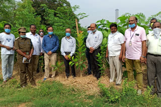 warangal range chief forest conservator visit ntpc in ramagundam