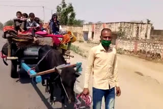 Migrant labourer yokes himself to cart, pulls family over 100 kms to reach home