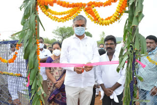 Minister Harish  rao started the mass sheep sheds siddipet ditrict