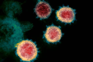 Coronavirus infection