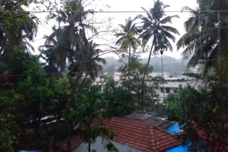 continues rain in dakshinakannada