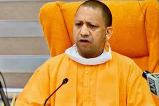 Cm yogi