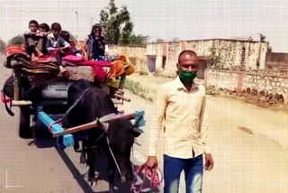 Migrant labourer yokes himself to cart, pulls family over 100 kms to reach home