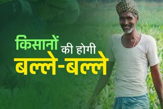 sikar news  sowing of kharif crop  kharif crop will increase  sowing of kharif crop will increase  farmer in sikar  farmer in rajasthan  etv bharat special news