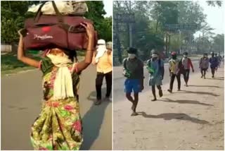 Negligence of District Administration Migrant workers walking home in ramgarh