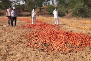 tomato farmers protest get support with cpm in bhiwani