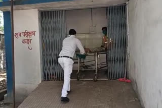 11-year-old dead due to snake bite in dindori