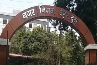 dehradun municipal corporation in lockdown updates , लॉकडाउन में देहरादून नगर निगम समाचार