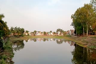 City ponds have dried up at dhamtari