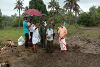 subhiksha programme of kerala government  subhiksha programme news  alappuzha latest news  ആലപ്പുഴ വാര്‍ത്തകള്‍  സുഭിക്ഷ പദ്ധതി  മന്ത്രി പി. തിലോത്തമൻ