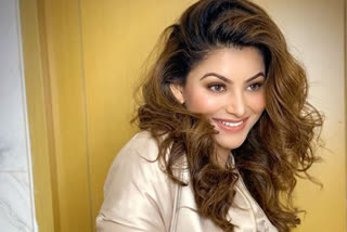 Urvashi Rautela on stray dogs