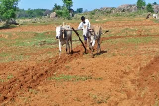 किसानों ने की मांग