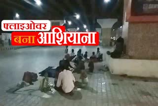 labors living under flyover in panipat