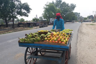 Fruit and vegetable