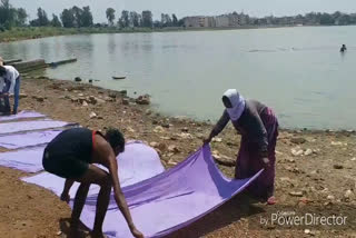 Sheet washing