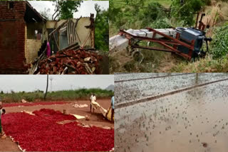 Heavy crop damage and stalled power supply in Nellore district