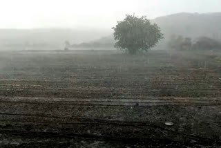 Rain fell for the second day in a row in Khambha panth