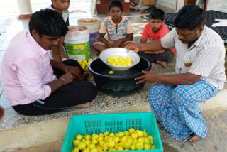 fig fruit farmer