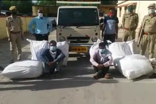 मांगरोल में दो तस्कर गिरफ्तार, Two smugglers arrested in Mangrol